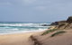 Phillip Island Penguin And Wildlife Tour - thumb 10