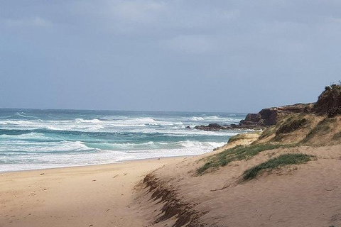 Phillip Island Penguin And Wildlife Tour - Find Attractions 10