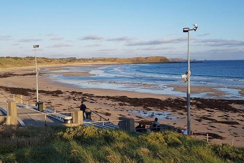 Phillip Island Penguin And Wildlife Tour - Find Attractions 8