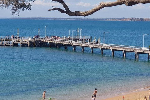 Phillip Island Penguin And Wildlife Tour - Find Attractions 2