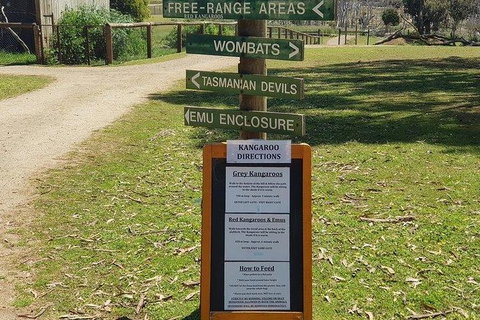 Phillip Island Penguin And Wildlife Tour - Find Attractions 4