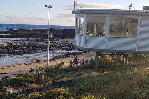 Phillip Island Penguin And Wildlife Tour - Find Attractions 33