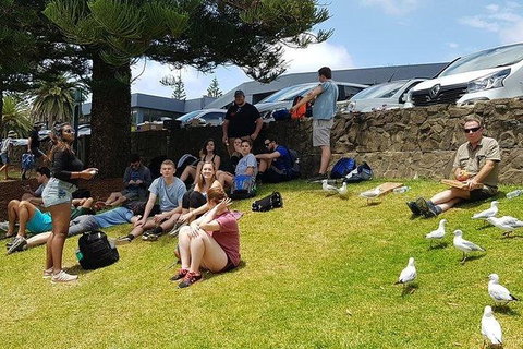 Phillip Island Penguin And Wildlife Tour - Find Attractions 22