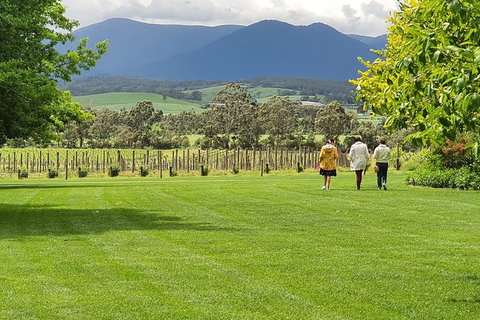 Yarra Valley Wine Tasting Day Tour From Melbourne - Find Attractions 6