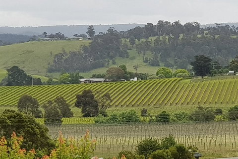 Yarra Valley Wine Tasting Day Tour From Melbourne - Find Attractions 0