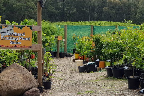Yarra Valley Wineries And Rayners Orchard Tour From Melbourne - Find Attractions 0