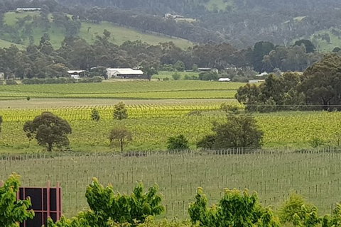 Yarra Valley Wineries And Rayners Orchard Tour From Melbourne - Find Attractions 2