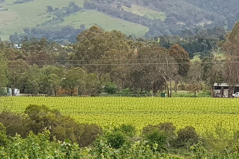 Day Tour Of Yarra Valley Puffing Billy And Rayners Orchard - Find Attractions 44
