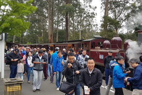 Day Tour Of Yarra Valley Puffing Billy And Rayners Orchard - Find Attractions 3
