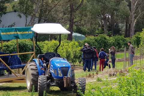 Day Tour Of Yarra Valley Puffing Billy And Rayners Orchard - Find Attractions 10