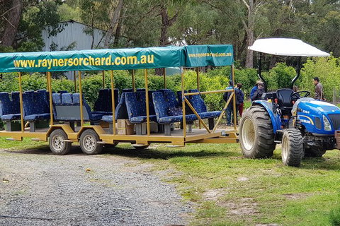 Day Tour Of Yarra Valley Puffing Billy And Rayners Orchard - Find Attractions 48