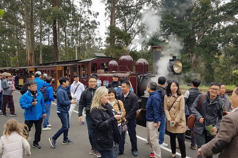 Day Tour Of Yarra Valley Puffing Billy And Rayners Orchard - Find Attractions 18