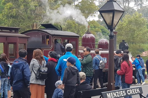 Day Tour Of Yarra Valley Puffing Billy And Rayners Orchard - Find Attractions 40