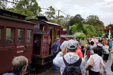 Day Tour Of Yarra Valley Puffing Billy And Rayners Orchard - Find Attractions 23