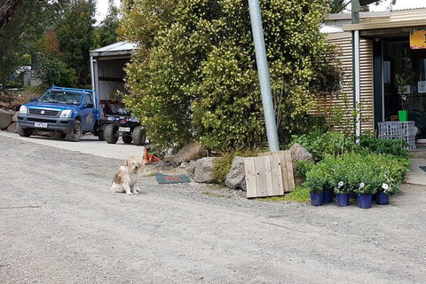 Day Tour Of Yarra Valley Puffing Billy And Rayners Orchard - Find Attractions 6