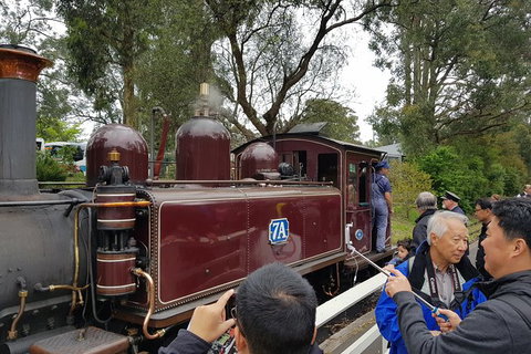 Day Tour Of Yarra Valley Puffing Billy And Rayners Orchard - Find Attractions 28