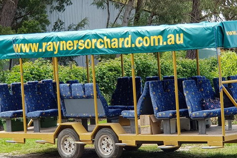 Day Tour Of Yarra Valley Puffing Billy And Rayners Orchard - Find Attractions 33