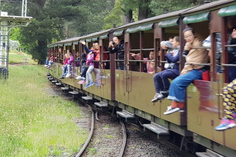 Day Tour Of Yarra Valley Puffing Billy And Rayners Orchard - Find Attractions 13
