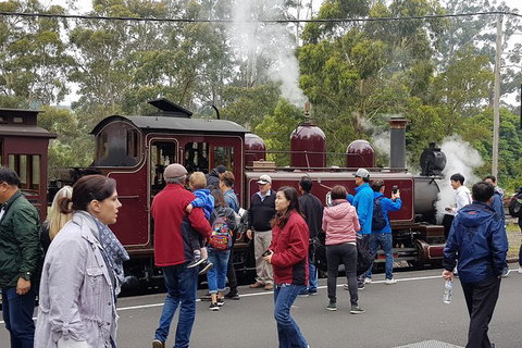 Day Tour Of Yarra Valley Puffing Billy And Rayners Orchard - Find Attractions 4