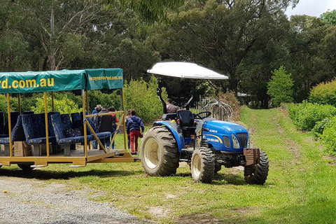 Day Tour Of Yarra Valley Puffing Billy And Rayners Orchard - Find Attractions 25