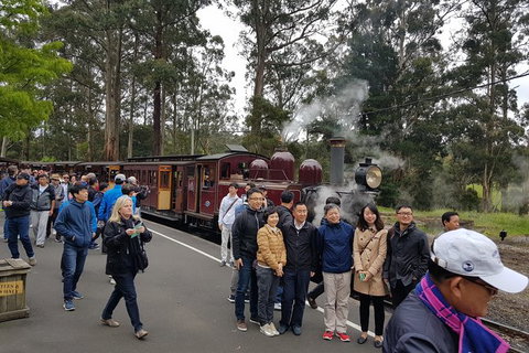 Day Tour Of Yarra Valley Puffing Billy And Rayners Orchard - Find Attractions 9