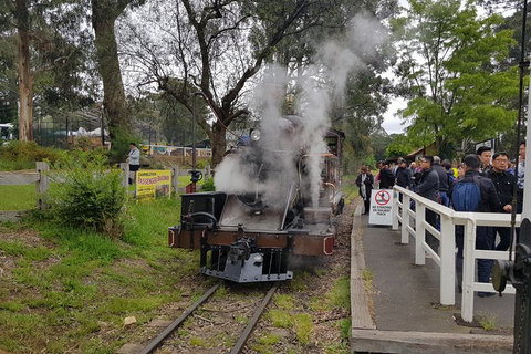 Day Tour Of Yarra Valley Puffing Billy And Rayners Orchard - Find Attractions 43