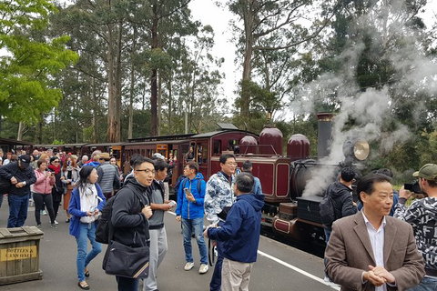 Day Tour Of Yarra Valley Puffing Billy And Rayners Orchard - Find Attractions 12