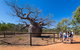 5 Day Bungle Bungles & Cattle Station Explorer - thumb 2