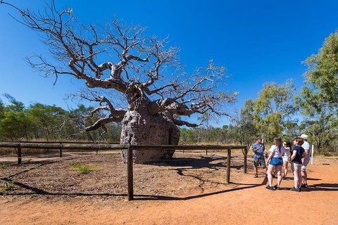 5 Day Bungle Bungles & Cattle Station Explorer - Find Attractions 2
