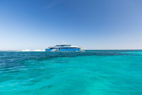 Rottnest Island Bayseeker Day Trip From Perth - Find Attractions 3