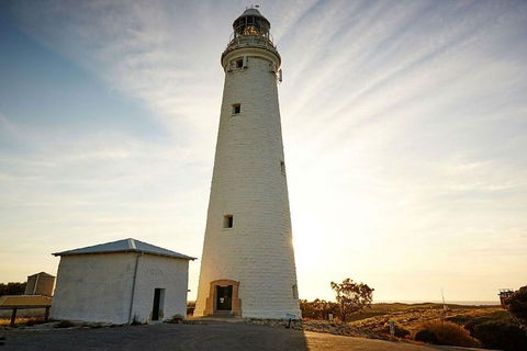 Rottnest Island Bayseeker Day Trip From Perth - Find Attractions 6