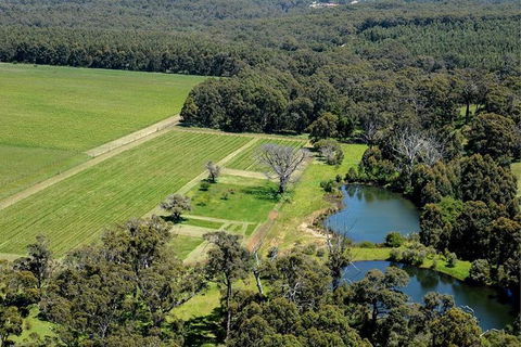 Half Day Wine & Food Tour - Find Attractions 6