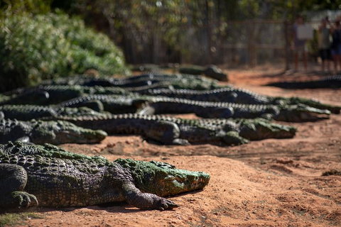 Malcolm Douglas Crocodile Park - Find Attractions 8