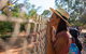 Malcolm Douglas Crocodile Park - thumb 12
