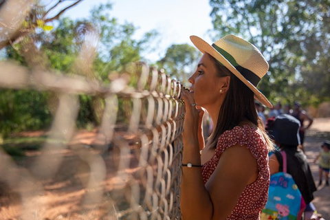 Malcolm Douglas Crocodile Park - Find Attractions 12