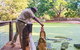 Malcolm Douglas Crocodile Park - thumb 3