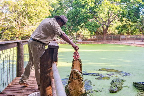 Malcolm Douglas Crocodile Park - Find Attractions 3