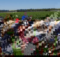 Margaret River Tour The Full Bottle - Find Attractions