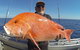 Full Day Fishing Charter - thumb 3