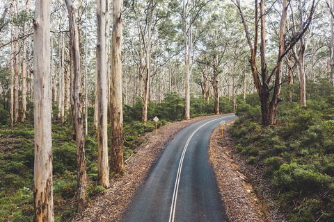 All Inclusive Surf Camp In Margaret River Region - Find Attractions 2
