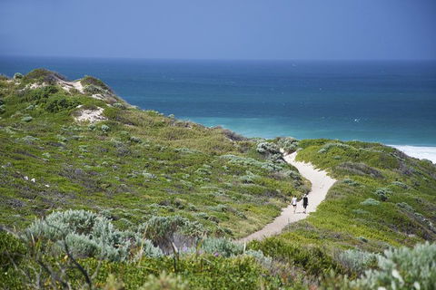 All Inclusive Surf Camp In Margaret River Region - Find Attractions 6