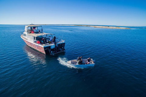 Abrolhos Islands 4 Day Fishing Charter - Find Attractions 0