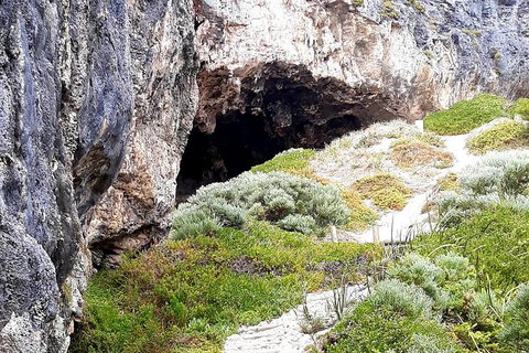 Explore Margaret Rivers\' National Parks On A Guided Cape To Cape Track Walk - Find Attractions 8