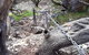 Explore Margaret Rivers\' National Parks On A Guided Cape To Cape Track Walk - thumb 1