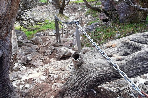 Explore Margaret Rivers\' National Parks On A Guided Cape To Cape Track Walk - Find Attractions 1
