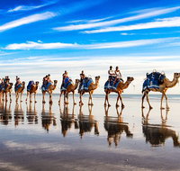 Broome Pre-sunset Camel Tour 30 minutes - Find Attractions