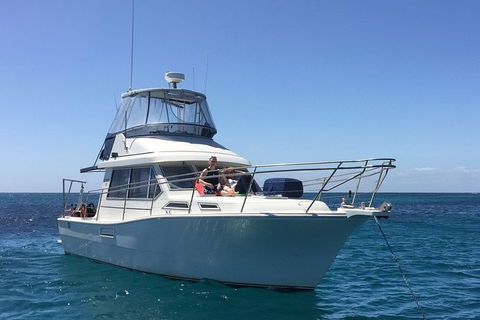 Single Boat Dive - Find Attractions 0