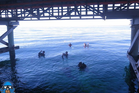 PADI Open Water Course - Find Attractions 3