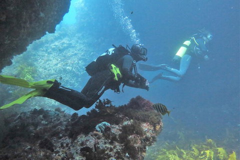 PADI Open Water Course - Find Attractions 2