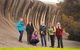 Wave Rock, Wild Flowers And Astro Photography - thumb 9